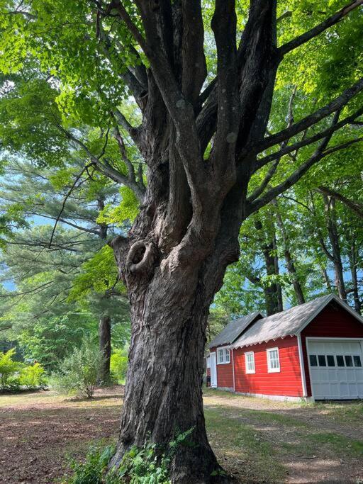 Schoolhouse No. 11 * Hudson Valley Upstate Getaway Stone Ridge Exteriör bild